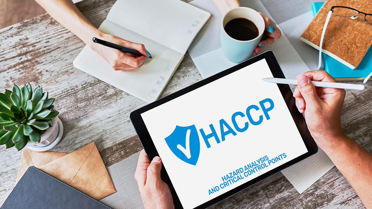 guida ai corsi haccp online